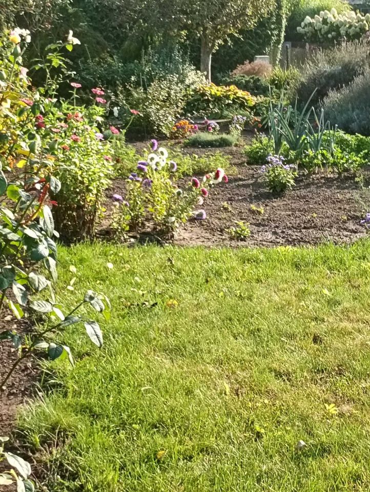 Działka rod Żnin. Zdjęcie 6