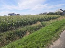 Działka budowlana Opatów, ul. Kępińska. Zdjęcie 3