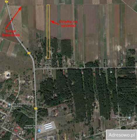 Działka rolna Lelów, ul. Leśna. Zdjęcie 1
