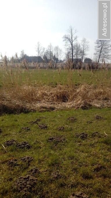 Działka rolna Lichawa. Zdjęcie 3