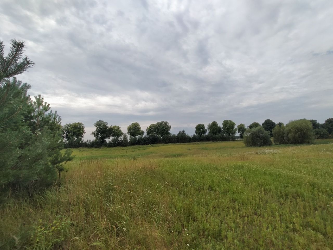 Działka budowlana Stara Dąbrowa. Zdjęcie 4