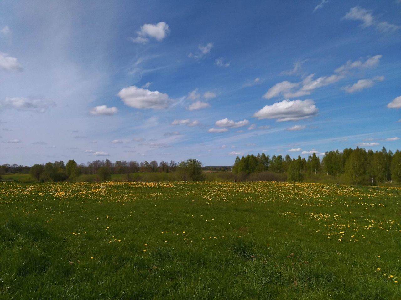 Działka rekreacyjna Raj. Zdjęcie 5