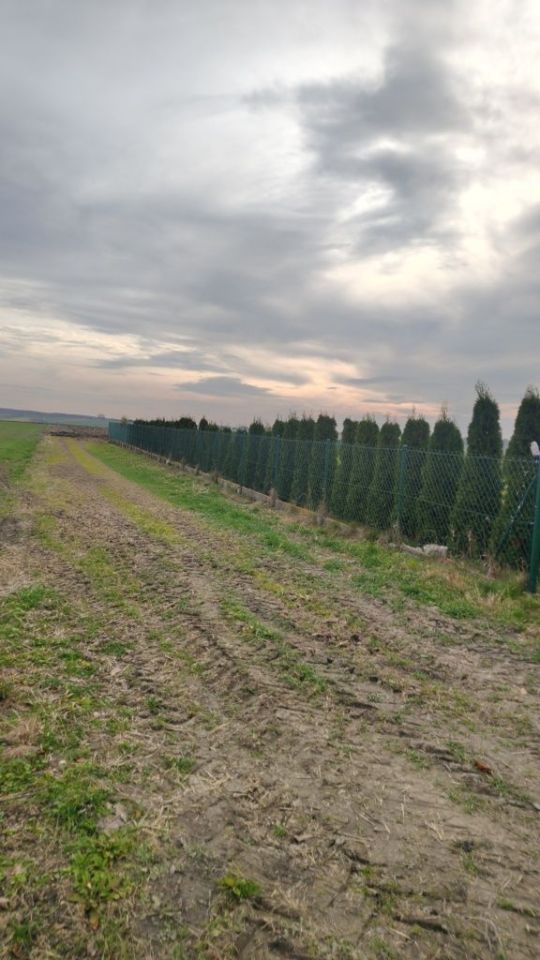 Działka budowlana Miechów, ul. Zagrody. Zdjęcie 6