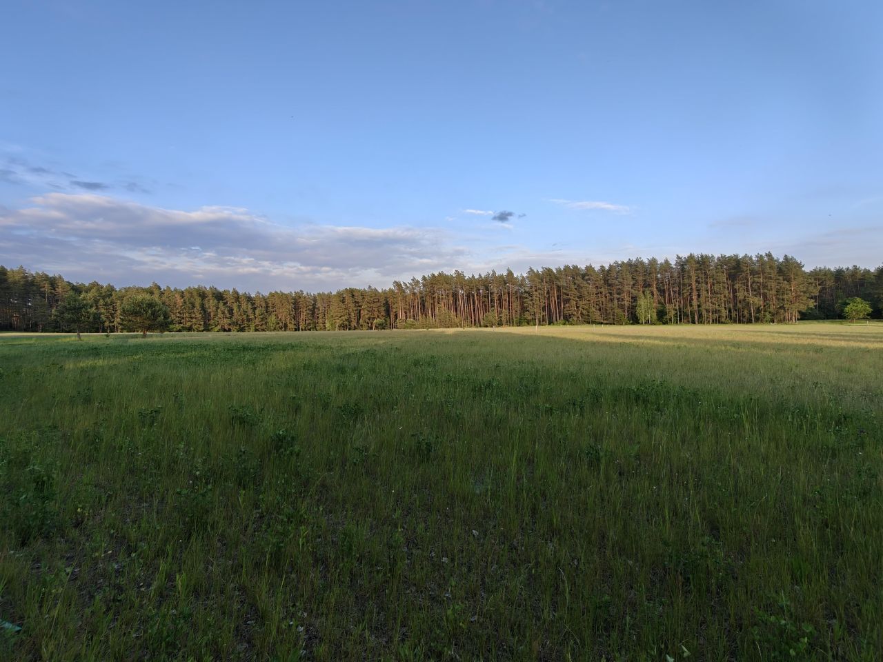 Działka rolna Faryny, Faryny. Zdjęcie 9
