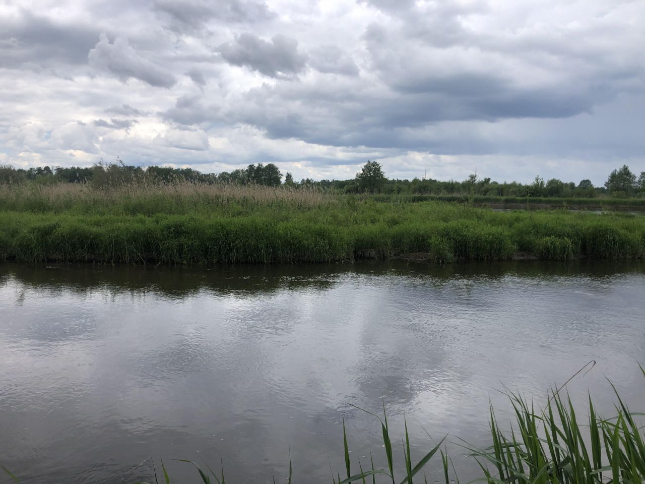 Działka rekreacyjna Biała Góra. Zdjęcie 14