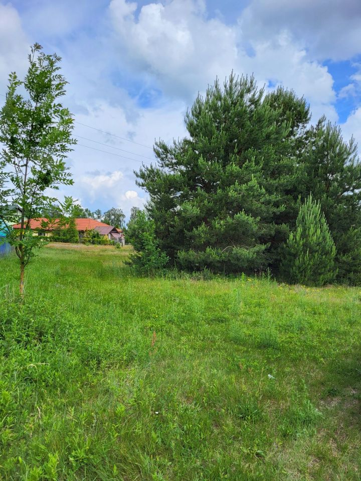 Działka rolno-budowlana Grabówiec. Zdjęcie 2