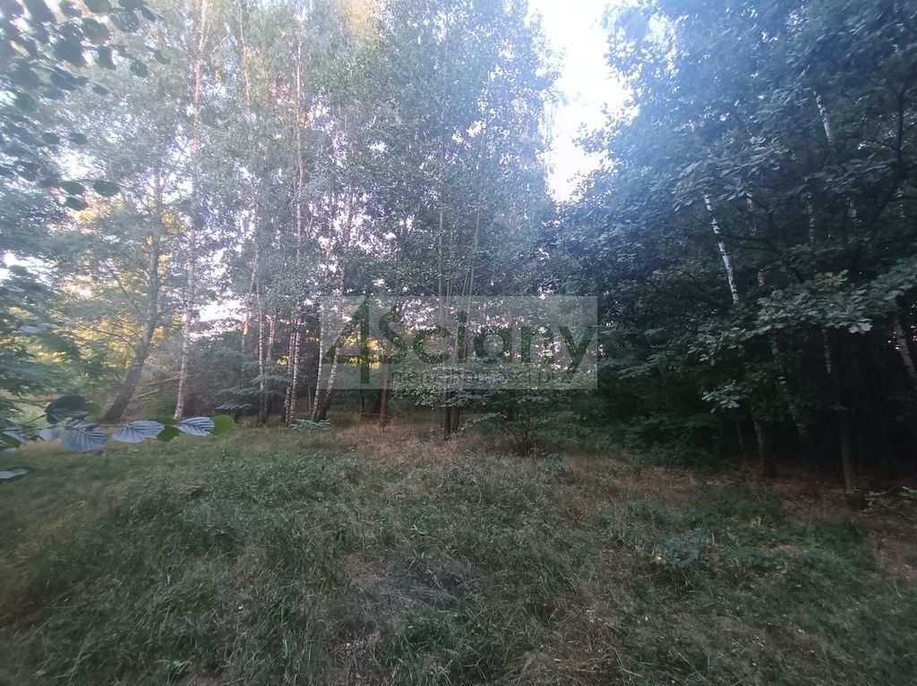 Działka budowlana Biernik. Zdjęcie 9