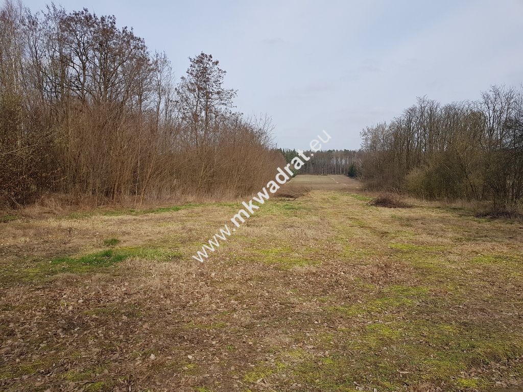 Działka rolna Borszyce. Zdjęcie 3