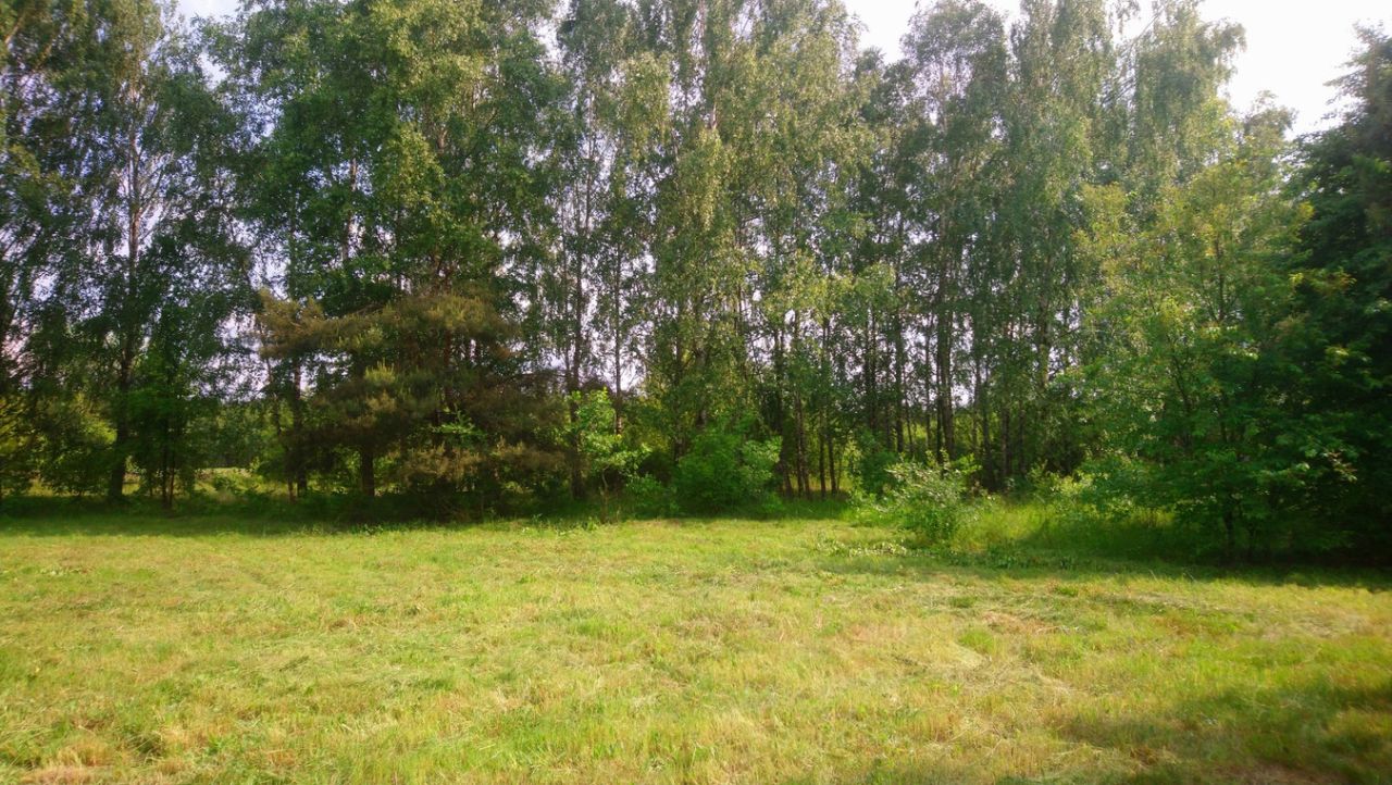 Działka budowlana Popielżyn-Zawady. Zdjęcie 14