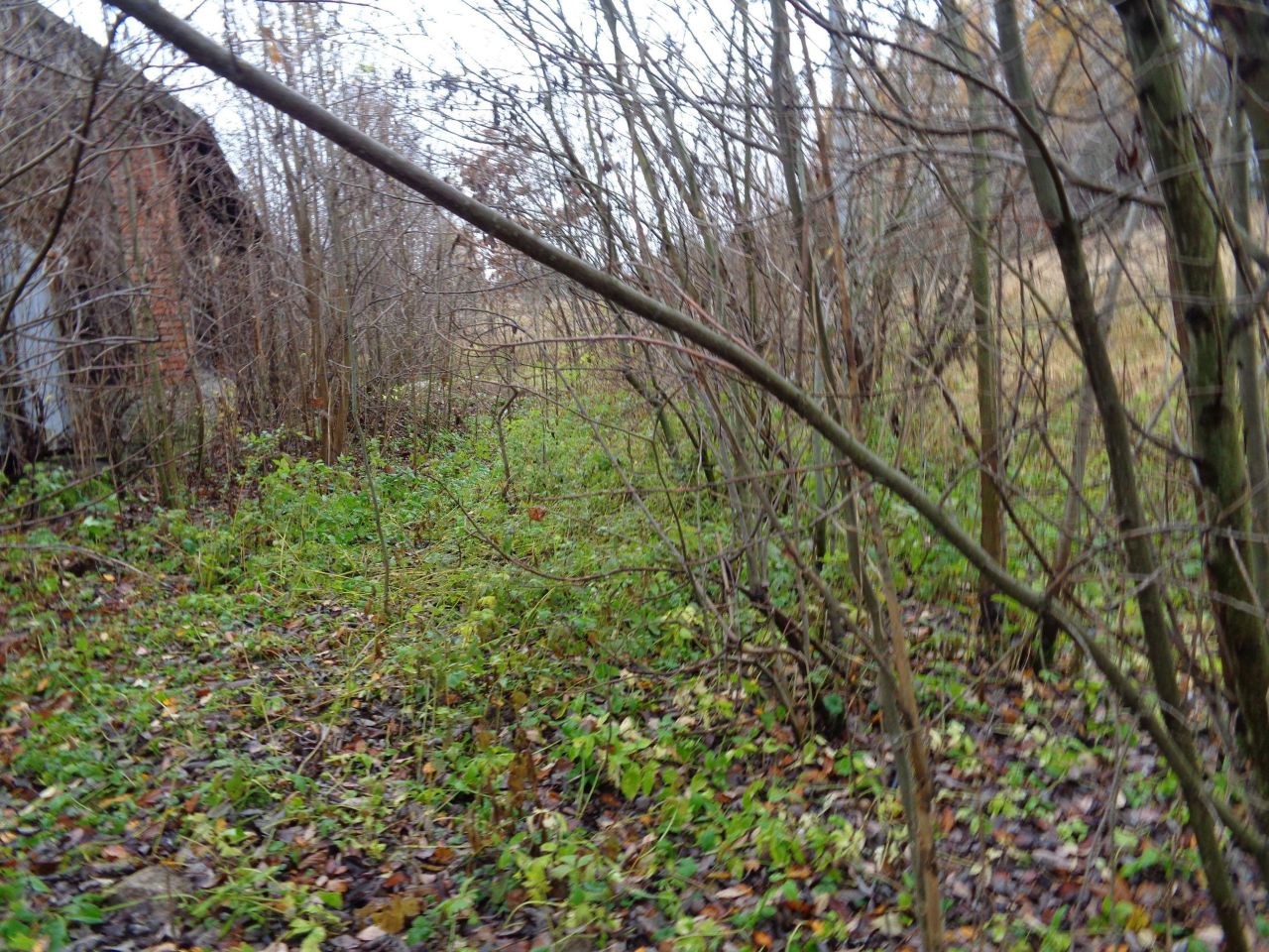 Działka budowlana Miękinia Wzgórze. Zdjęcie 5