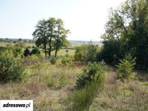Działka budowlana Goryń. Zdjęcie 1