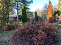 Działka rod Wola Prażmowska. Zdjęcie 1