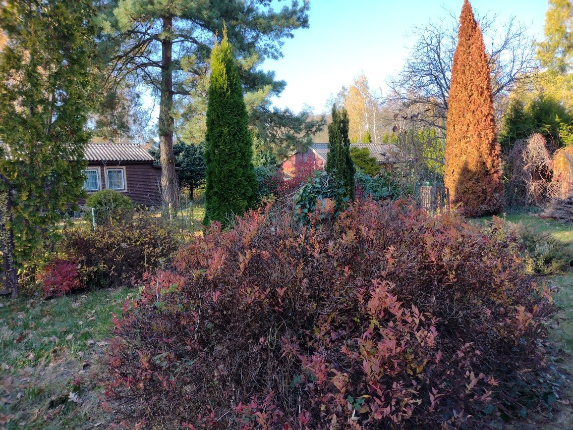 Działka rod Wola Prażmowska. Zdjęcie 2