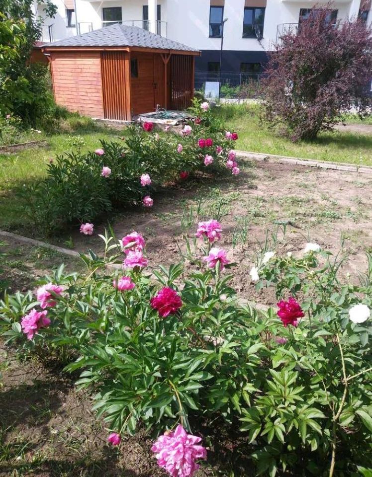 Działka rod Kielce KSM, ul. Bohaterów Warszawy