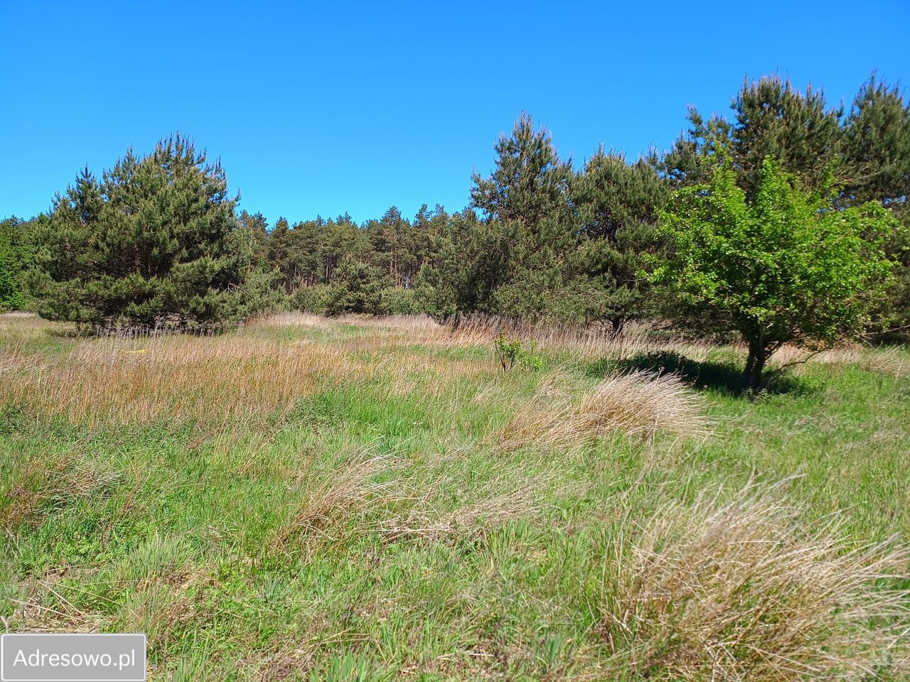 Działka budowlana Smołdzino, ul. Jeziorna. Zdjęcie 2