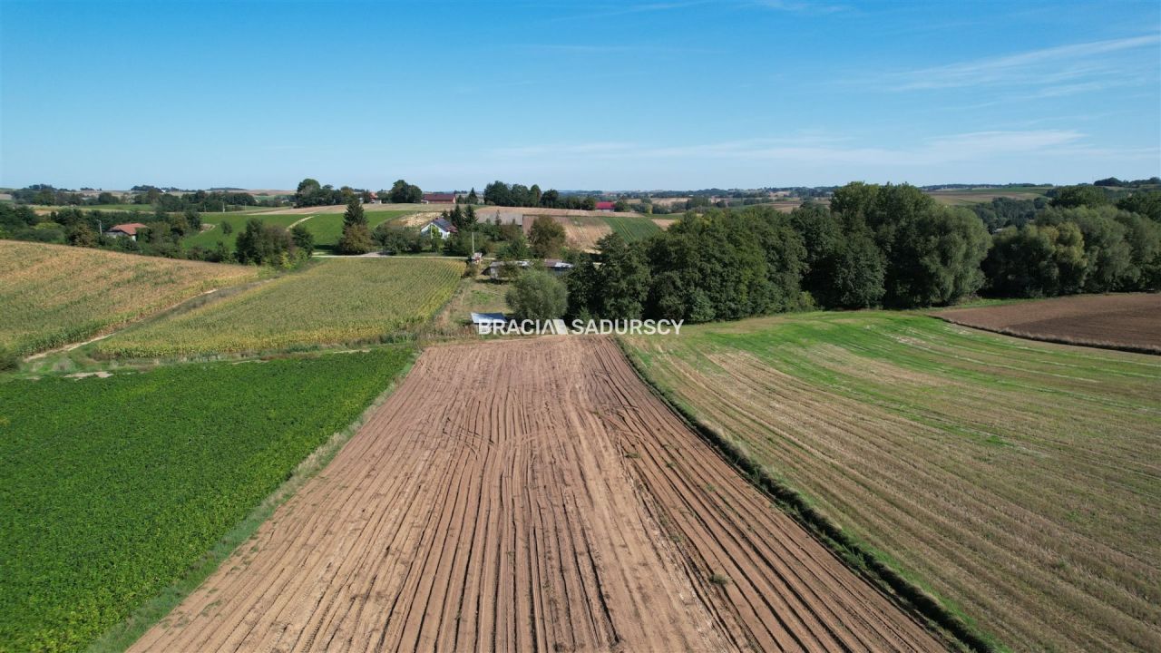 Działka rolna Gunów-Wilków. Zdjęcie 6
