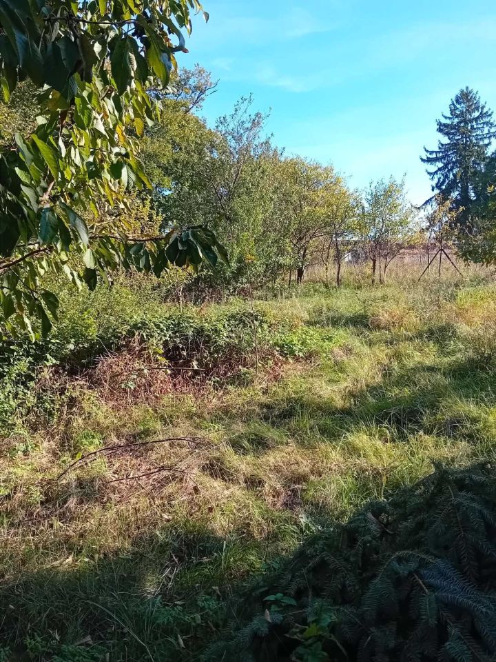 Działka budowlana Konojady. Zdjęcie 4