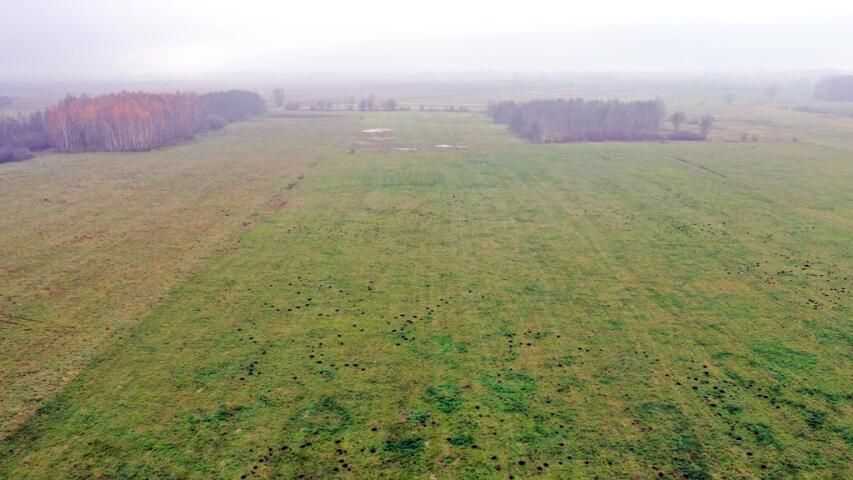 Działka rolna Siedliska. Zdjęcie 6