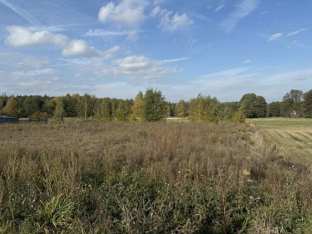 Działka rolna Marków-Towarzystwo. Zdjęcie 3