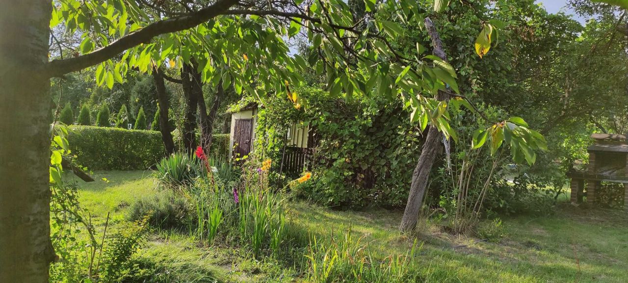 Działka rod Zabrze. Zdjęcie 2