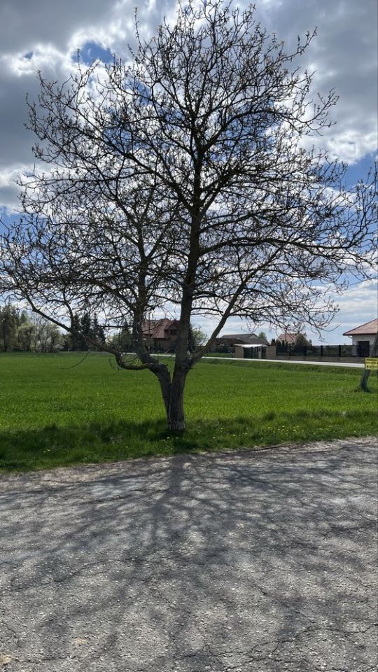 Działka budowlana Wojszyn. Zdjęcie 2