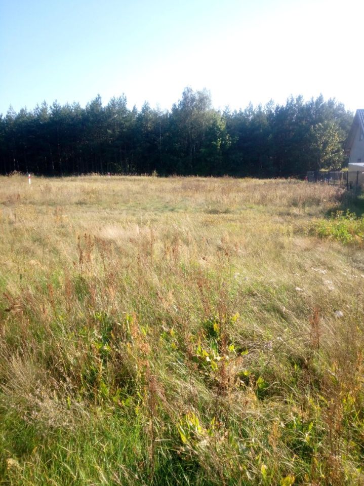 Działka rolno-budowlana Skwierzyna, ul. Bukowa. Zdjęcie 3