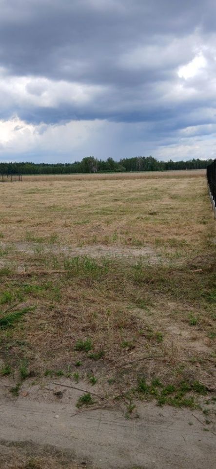 Działka budowlana Jadwinów. Zdjęcie 2