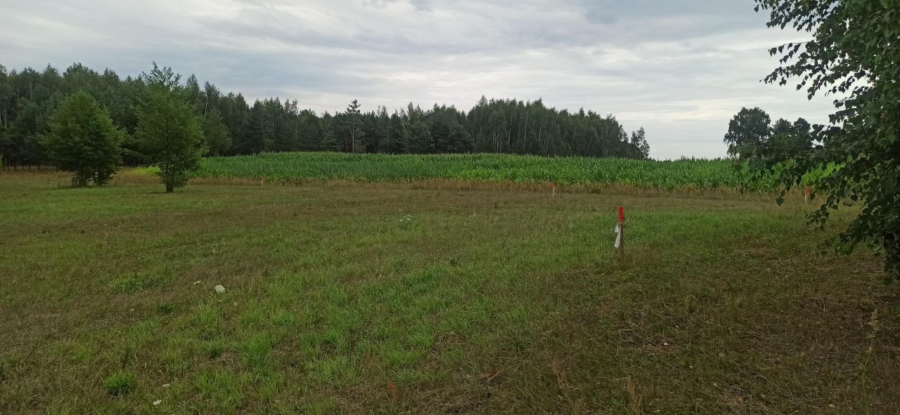 Działka budowlana Tołcze, ul. Leszczynowa. Zdjęcie 7