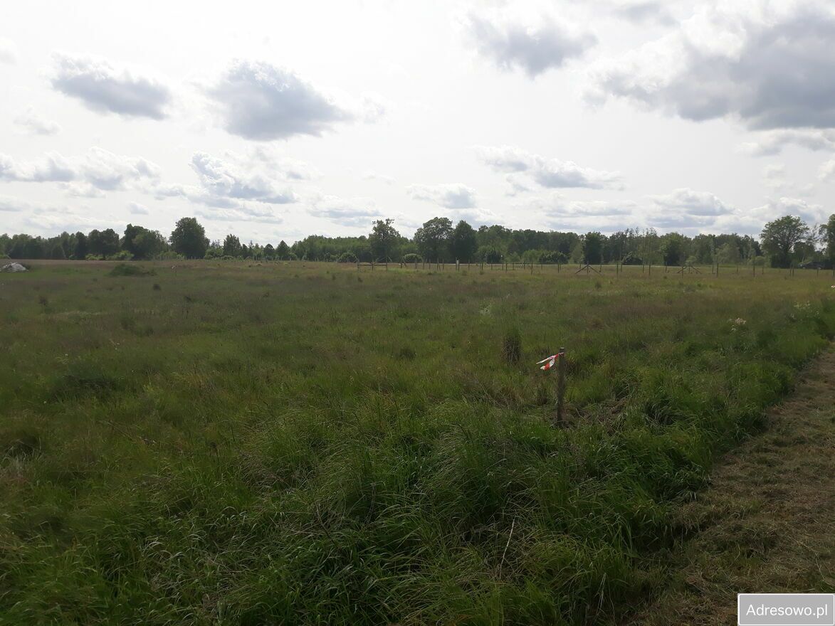 Działka budowlana Kęsowo. Zdjęcie 10