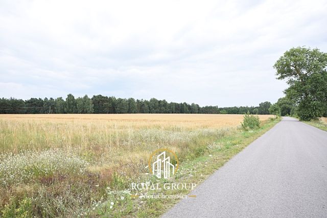 Działka siedliskowa Górka. Zdjęcie 3