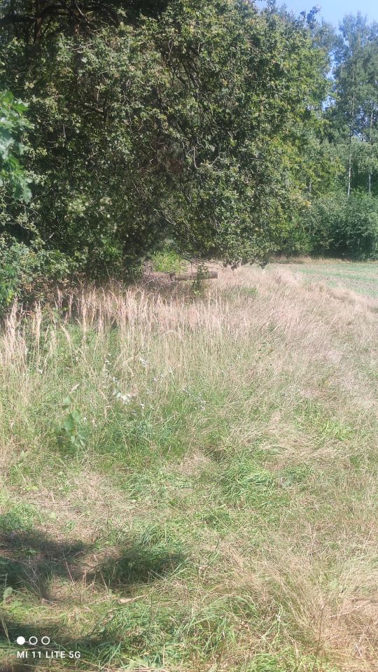 Działka budowlana Bądzyń, ul. Zbigniewa. Zdjęcie 8