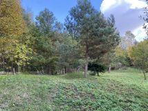 Działka rekreacyjna Mielnik. Zdjęcie 4