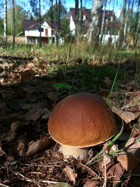 Działka budowlana Grabowska Huta, ul. Gdyńska. Zdjęcie 8