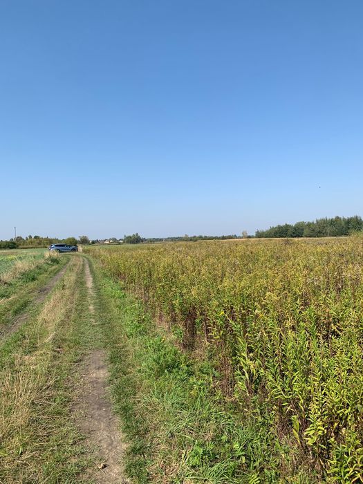 Działka rolna Tarnobrzeg Wielowieś. Zdjęcie 3