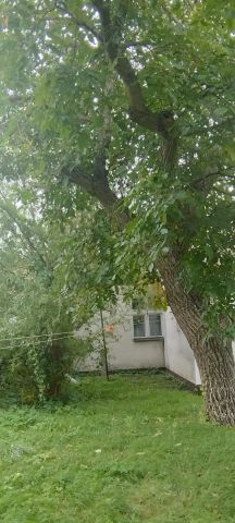 dom wolnostojący, 3 pokoje Obra, ul. Kanałowa. Zdjęcie 1