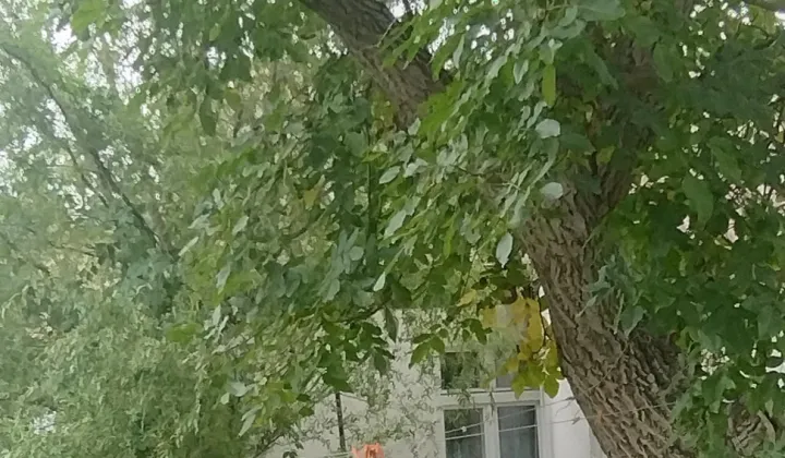 dom wolnostojący, 3 pokoje Obra, ul. Kanałowa