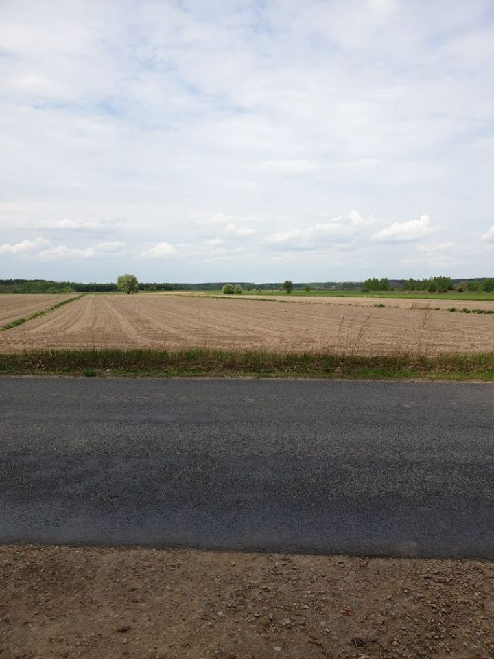 Działka rolna Wola Rowska. Zdjęcie 1