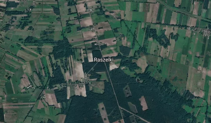 Działka leśna Raszelki