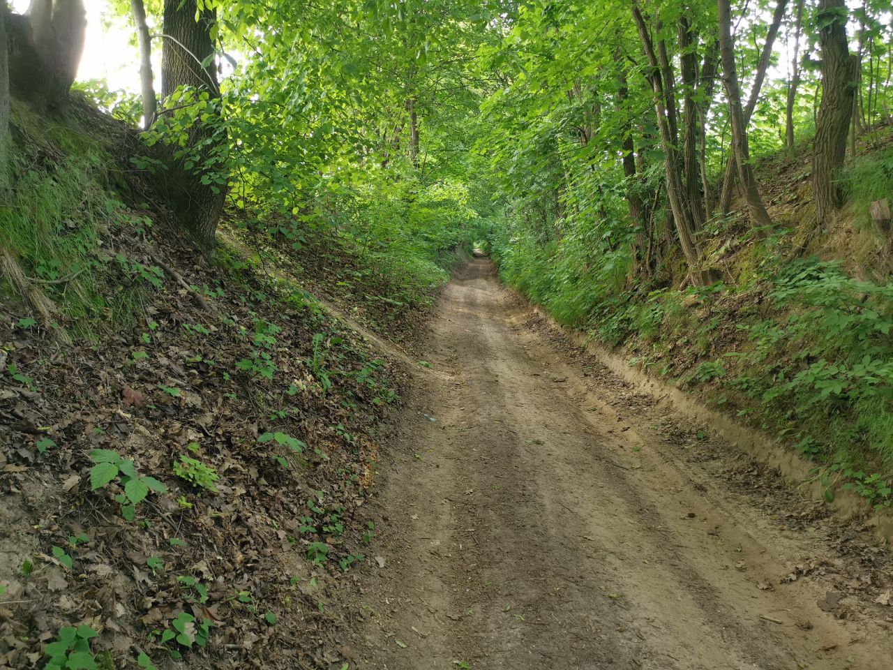 Działka budowlana Kazimierz Dolny Jeziorszczyzna, Jeziorszczyzna. Zdjęcie 12
