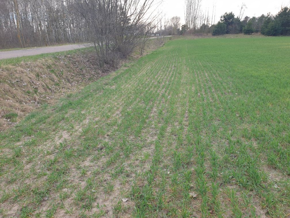 Działka budowlana Rawa. Zdjęcie 6