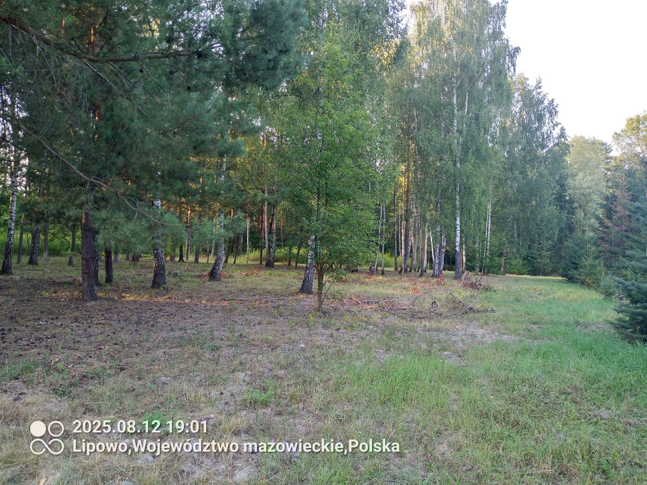 Działka budowlana Lipowo, ul. Wierzbowa