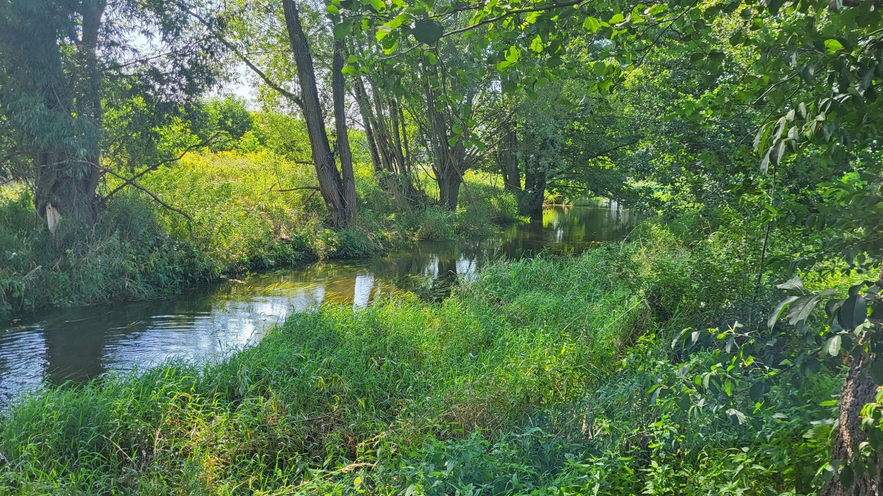 dom wolnostojący, 5 pokoi Markotów Duży. Zdjęcie 5