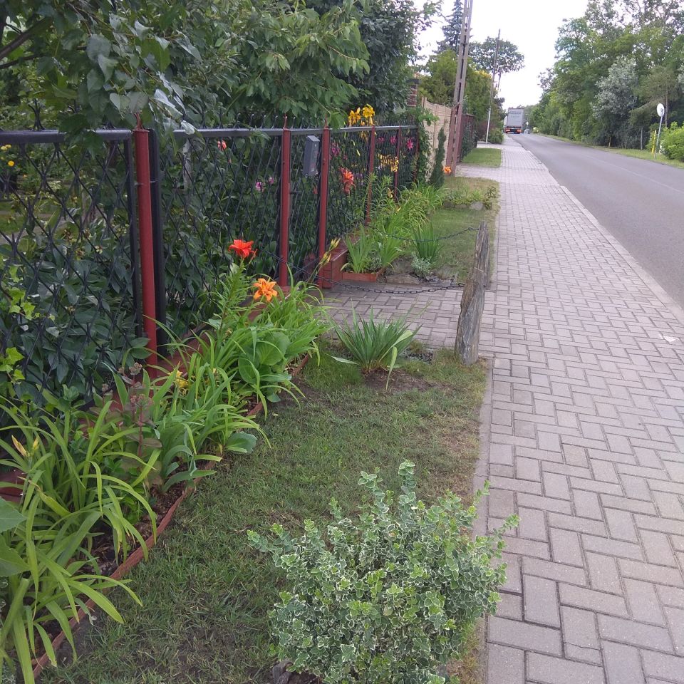 dom wolnostojący, 7 pokoi Wołuszewo. Zdjęcie 34
