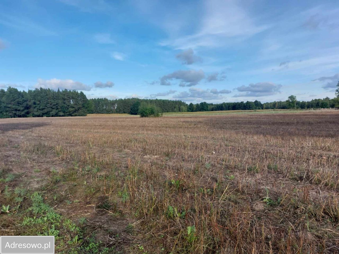 gospodarstwo Potkanna. Zdjęcie 13