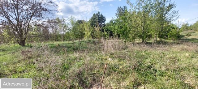 Działka budowlana Różan, ul. Bursztynowa. Zdjęcie 1