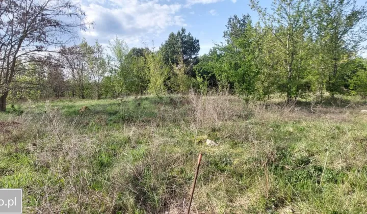 Działka budowlana Różan, ul. Bursztynowa