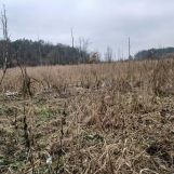 Działka rolna Łapinóż. Zdjęcie 2