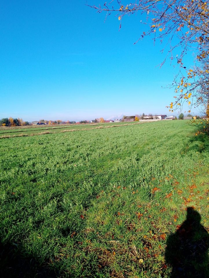 Działka budowlana Janików Paryż. Zdjęcie 5