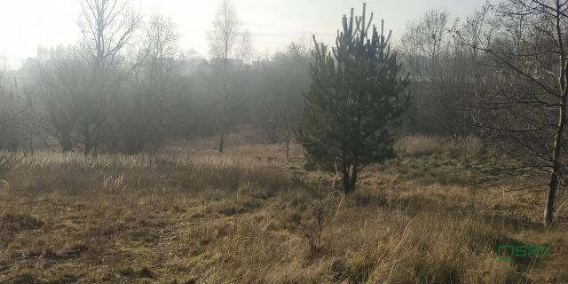 Działka inna Rybnik Niedobczyce, ul. Bolesława Śmiałego. Zdjęcie 6