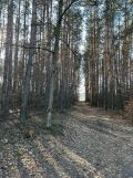 Działka rolna Dąbrówka. Zdjęcie 3